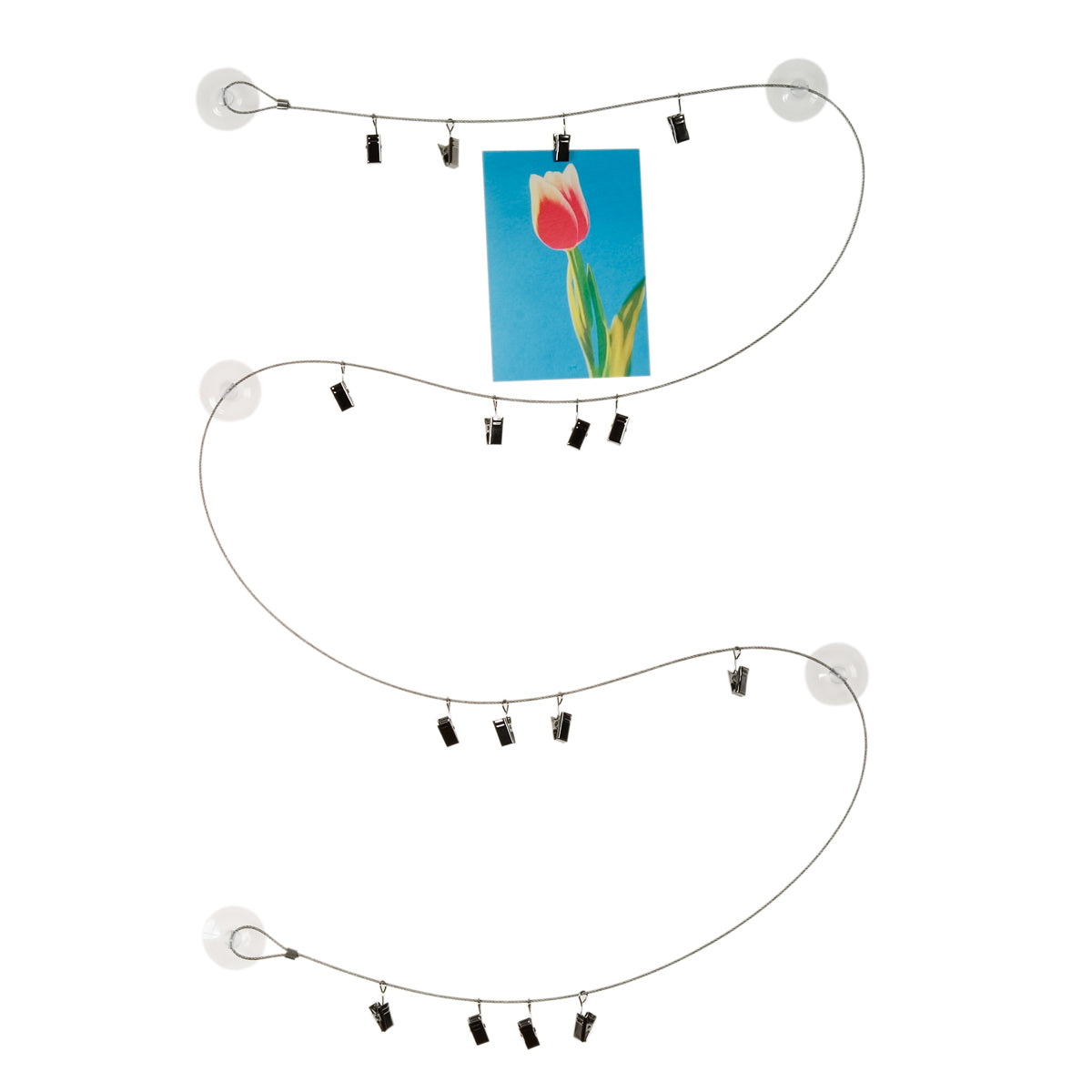 Seil-Ali – Kartenseil 2 Meter