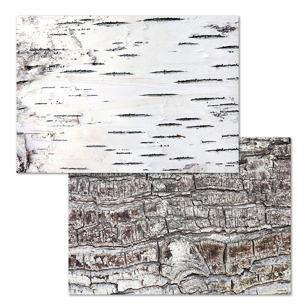 Papier-Tischsets TAIGA