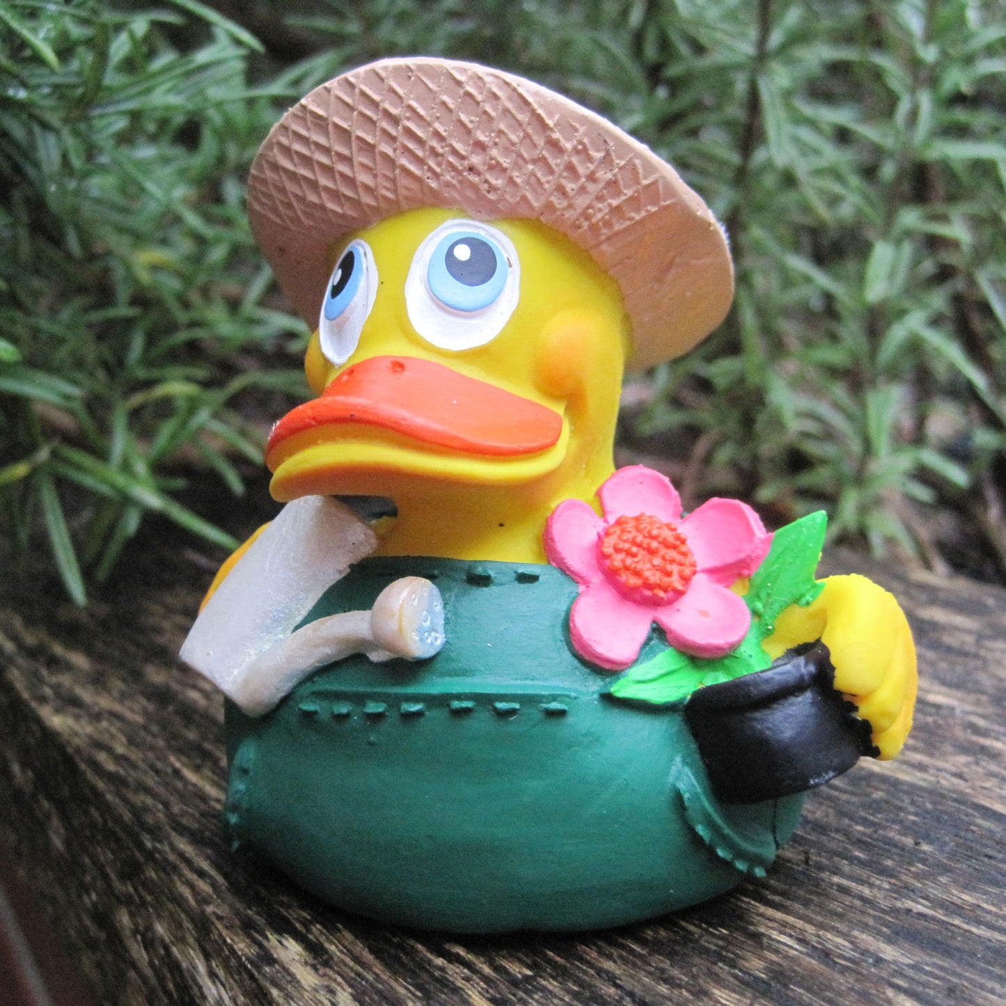 Quietscheente Gärtner