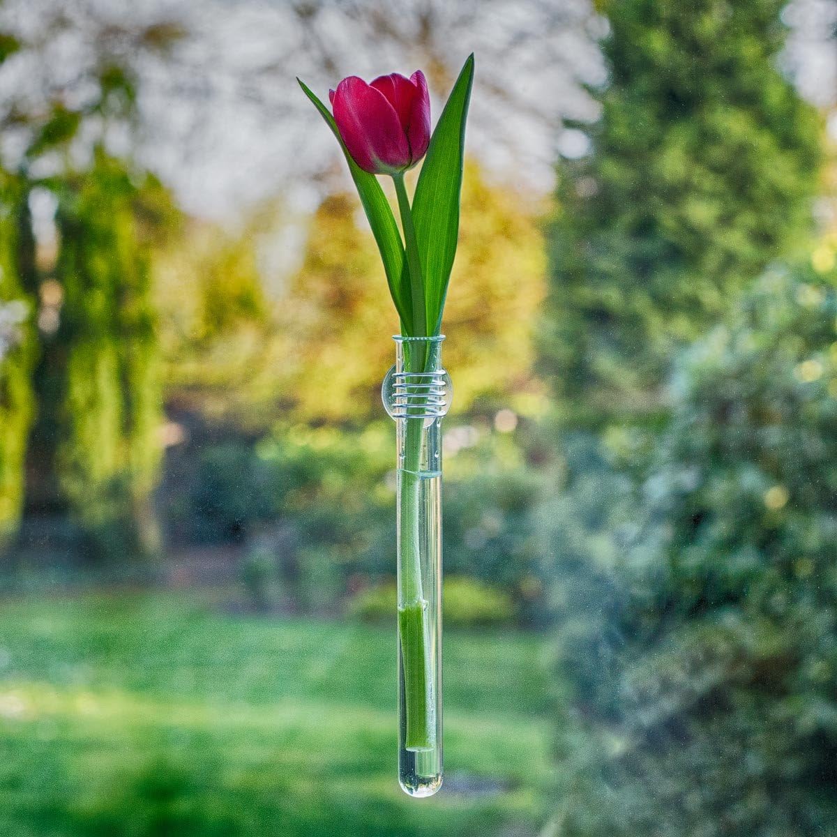 Rosie Reagenzglas-Vase mit Saugnapf von corpus delicti
